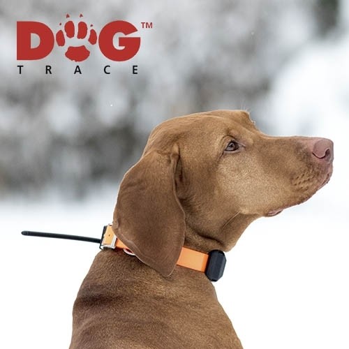 Localizador GPS para perros Dogtrace X30B - Canistek